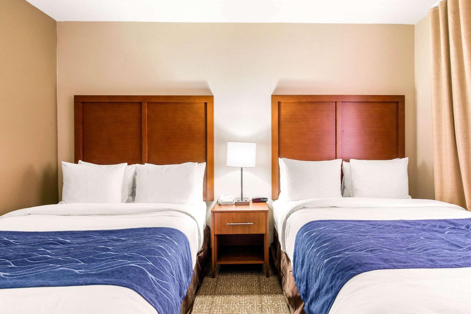 Comfort Inn & Suites Iah Bush Airport - East Humble Zewnętrze zdjęcie